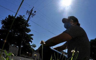 Luz do sol “mata coronavírus rapidamente”, dizem cientistas