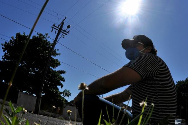 Luz do sol “mata coronavírus rapidamente”, dizem cientistas
