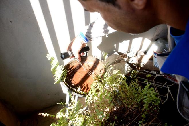 Com três novas mortes, MS é o segundo Estado com maior incidência de dengue