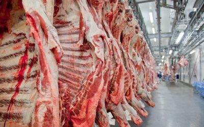 Frigorífico de MS é habilitado para exportar carne à Tailândia