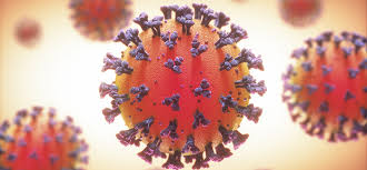 Com Covid-19, idoso e jovem vão a festas, visitam parentes e dividem tereré com amigos