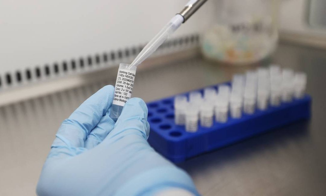 Em teste, vacina contra a Covid-19 pode ter 100 milhões de doses até o fim do ano