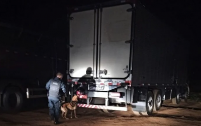 Em apreensão recorde no MS, PM intercepta R$ 4,1 milhões em cocaína