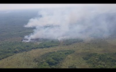 Governo declara situação de emergência no Pantanal