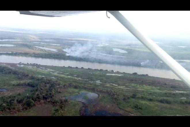 Incêndios já devastaram 185 mil hectares do Pantanal em julho