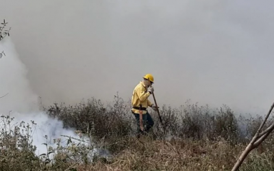 Chuva traz alívio, extingue incêndios e permite descanso para equipes no Pantanal