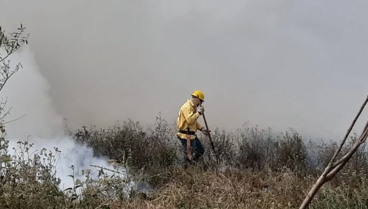 Chuva traz alívio, extingue incêndios e permite descanso para equipes no Pantanal