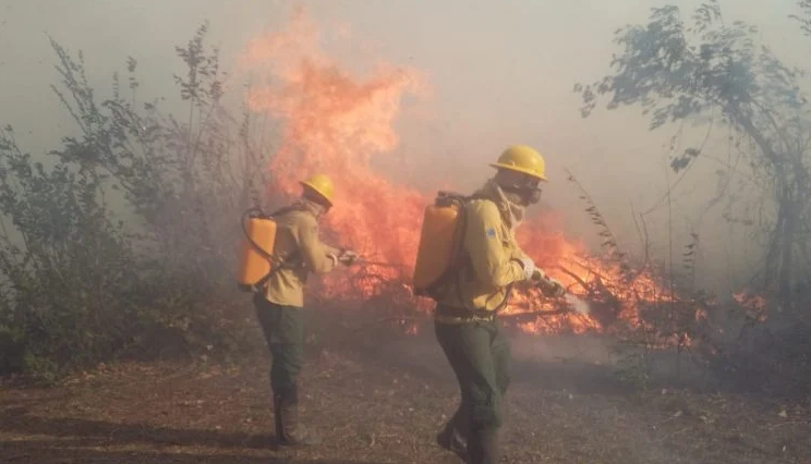 Em 24h, mais 185 focos de calor são registrados no Pantanal, alerta Ibama