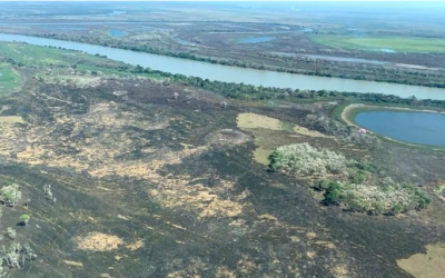 Após mais de 2 mil hectares destruídos, incêndios no Pantanal são controlados