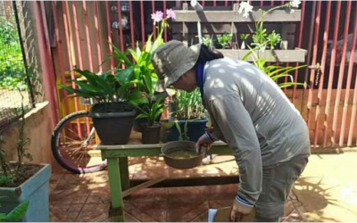 Com período de estiagem, casos de dengue têm estabilidade em todo o MS