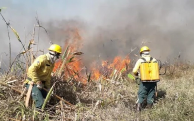 Com bloqueio de R$ 60 milhões, combate a incêndios no Pantanal será suspenso