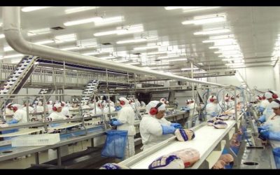 Exportações crescem e superávit de MS é 29,37% maior em relação ao ano passado