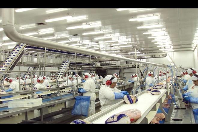 Exportações crescem e superávit de MS é 29,37% maior em relação ao ano passado