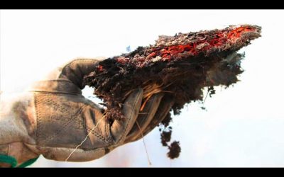 Focos de incêndio caem 83% em uma semana após ação integrada no Pantanal