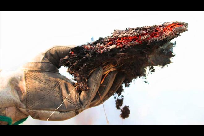 Focos de incêndio caem 83% em uma semana após ação integrada no Pantanal