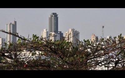 Chuva deixou 15 mil pessoas sem fornecimento de energia em Campo Grande