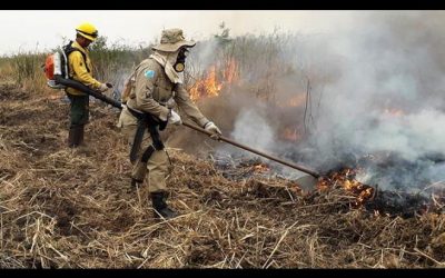 Chuva no Pantanal ameniza focos de incêndio, mas monitoramento continua