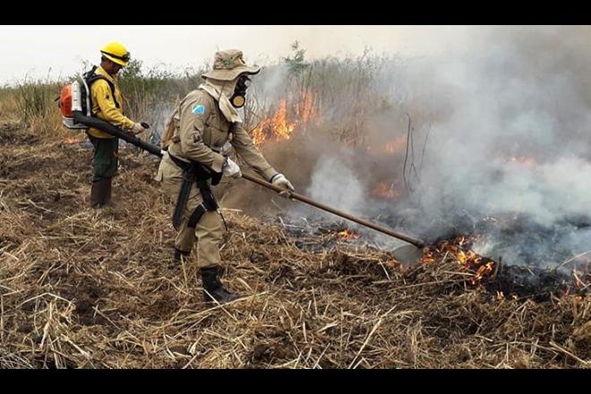 Chuva no Pantanal ameniza focos de incêndio, mas monitoramento continua