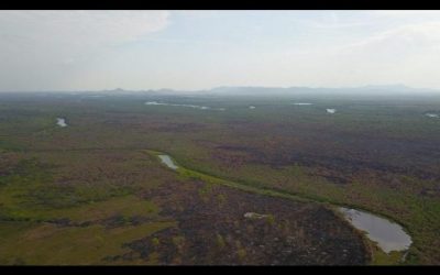 Chuvas ajudam a controlar o fogo mas alerta continua sobre queimadas no Pantanal
