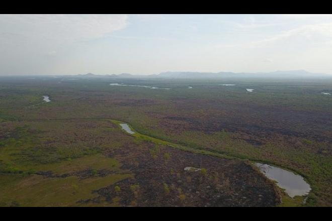 Chuvas ajudam a controlar o fogo mas alerta continua sobre queimadas no Pantanal