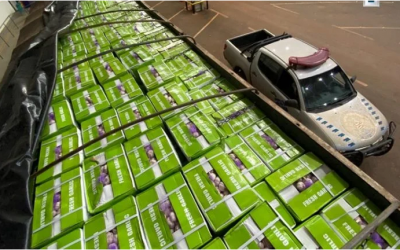 Receita Federal apreende contrabando de 22 toneladas de alho chinês em MS