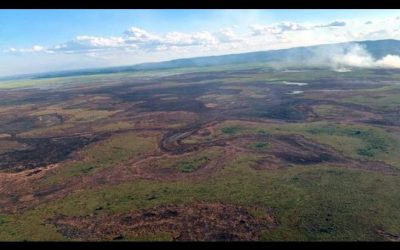 Previsão indica que chuvas não aparecem em Mato Grosso do Sul antes do dia 20