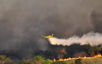 Estado tem aumento de 15% na quantidade de queimadas registradas em setembro