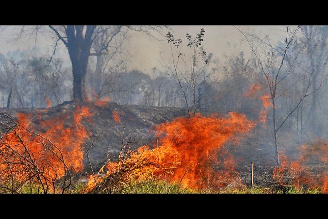 Governo decreta emergência e calamidade em todo o Estado por queimadas e tempo seco