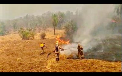 Fazendeiros podem ter destruído 25 mil hectares do Pantanal com incêndios criminosos