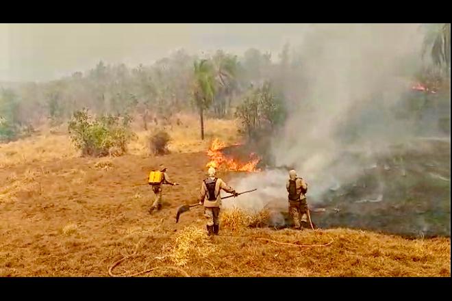 Fazendeiros podem ter destruído 25 mil hectares do Pantanal com incêndios criminosos