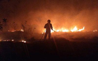 Ministério repassa R$3,8 milhões para combate ao maior número de queimadas já registrado no Pantanal