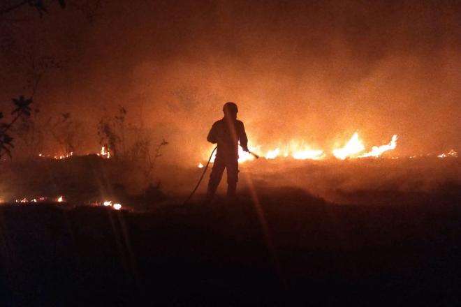 Ministério repassa R$3,8 milhões para combate ao maior número de queimadas já registrado no Pantanal
