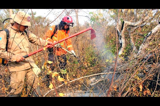 Número de autuações por incêndio ambiental em 2020 já é mais que o dobro das penalidades aplicadas no ano passado