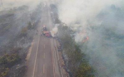 Mato Grosso do Sul contará com reforço de 47 brigadistas para incêndios no Pantanal
