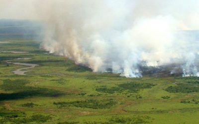 Senadores aprovam convite para Salles prestar esclarecimentos sobre Pantanal