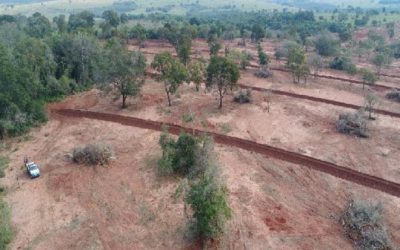Operação Mata Atlântica em Pé é concluída com mais de R$ 1 milhão em multas