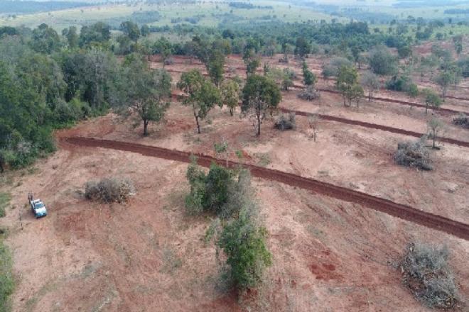 Operação Mata Atlântica em Pé é concluída com mais de R$ 1 milhão em multas