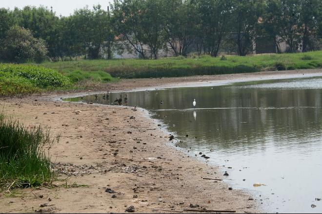 Escassez leva Águas Guariroba a sair em busca de novas reservas no estado