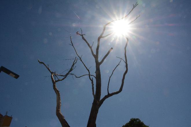 Manhã fresca engana campo-grandense, e máxima do dia pode passar de 40ºC
