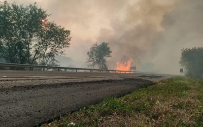 Serra do Amolar, Passo do Lontra e Porto Esperança são as áreas mais afetadas pelo fogo no Pantanal