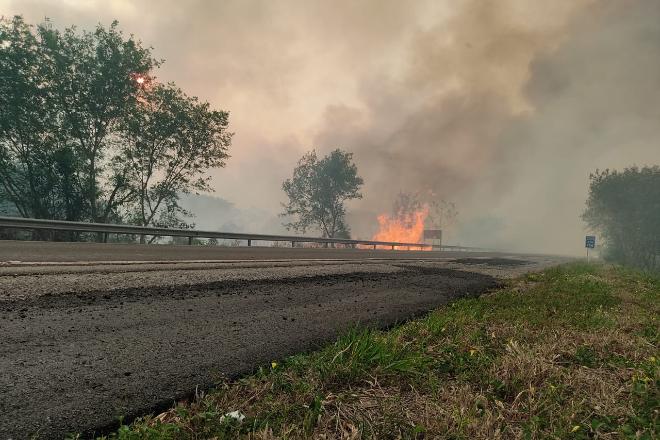 Serra do Amolar, Passo do Lontra e Porto Esperança são as áreas mais afetadas pelo fogo no Pantanal