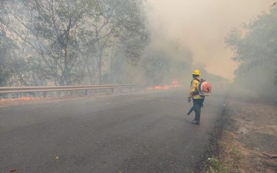 Batalhão com militares de 15 estados é enviado para o combate queimadas do Pantanal