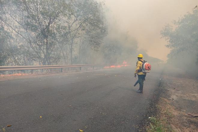 Batalhão com militares de 15 estados é enviado para o combate queimadas do Pantanal