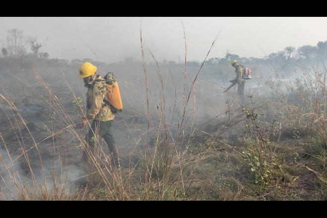 Pantanal de MS corresponde a 79% da área total atingida pelo fogo nos últimos dias