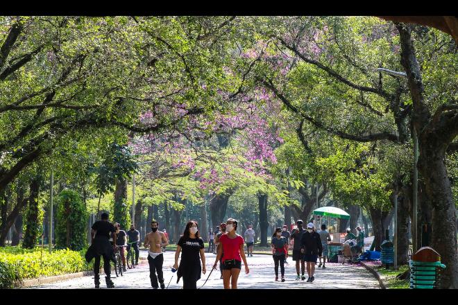 Cai para 33,8 milhões o número de pessoas que ainda seguem rigorosamente o isolamento social