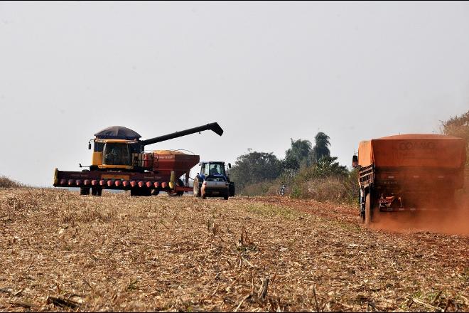 Diversificação da base econômica vai manter o Estado em crescimento no pós-pandemia