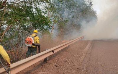 Queimadas: equipes enfrentam calor e áreas de difícil acesso no Pantanal