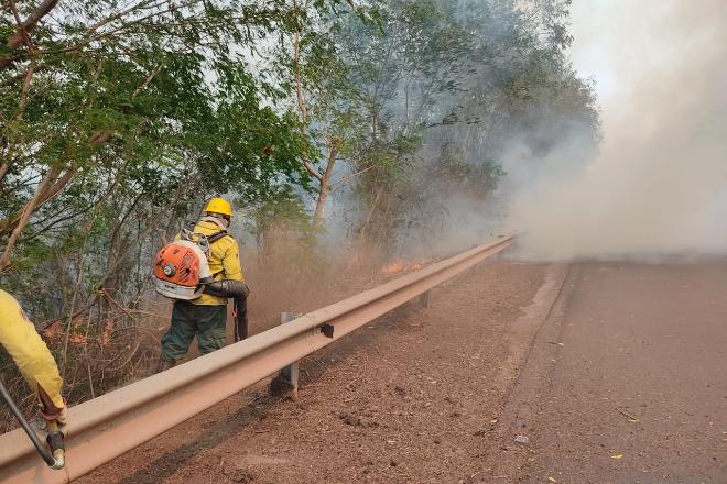 Queimadas: equipes enfrentam calor e áreas de difícil acesso no Pantanal