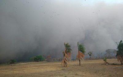 Mudanças climáticas de MS chegam à região pantaneira e brigadistas são surpreendidos por tempestade de areia