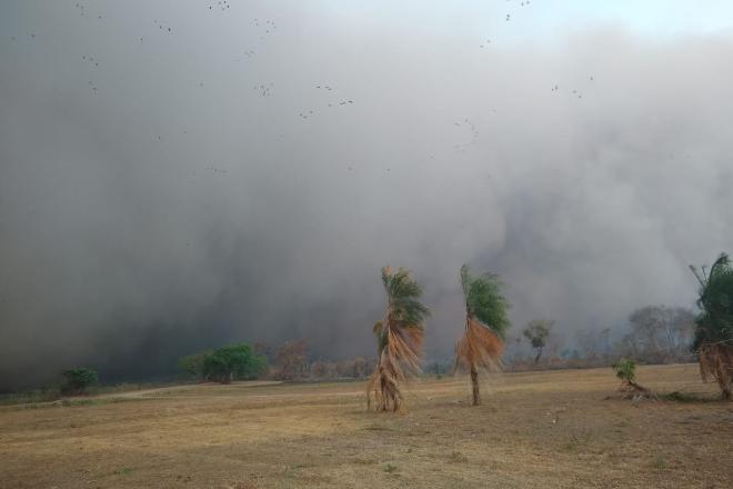 Mudanças climáticas de MS chegam à região pantaneira e brigadistas são surpreendidos por tempestade de areia